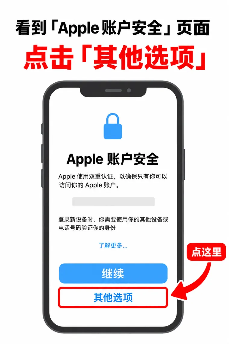 示意图：Apple 账户安全页面，底部「其他选项」被红框标出，不要点上面的「继续」